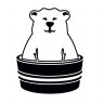 POLARSPA